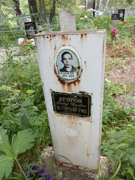 Егоров В. Н.