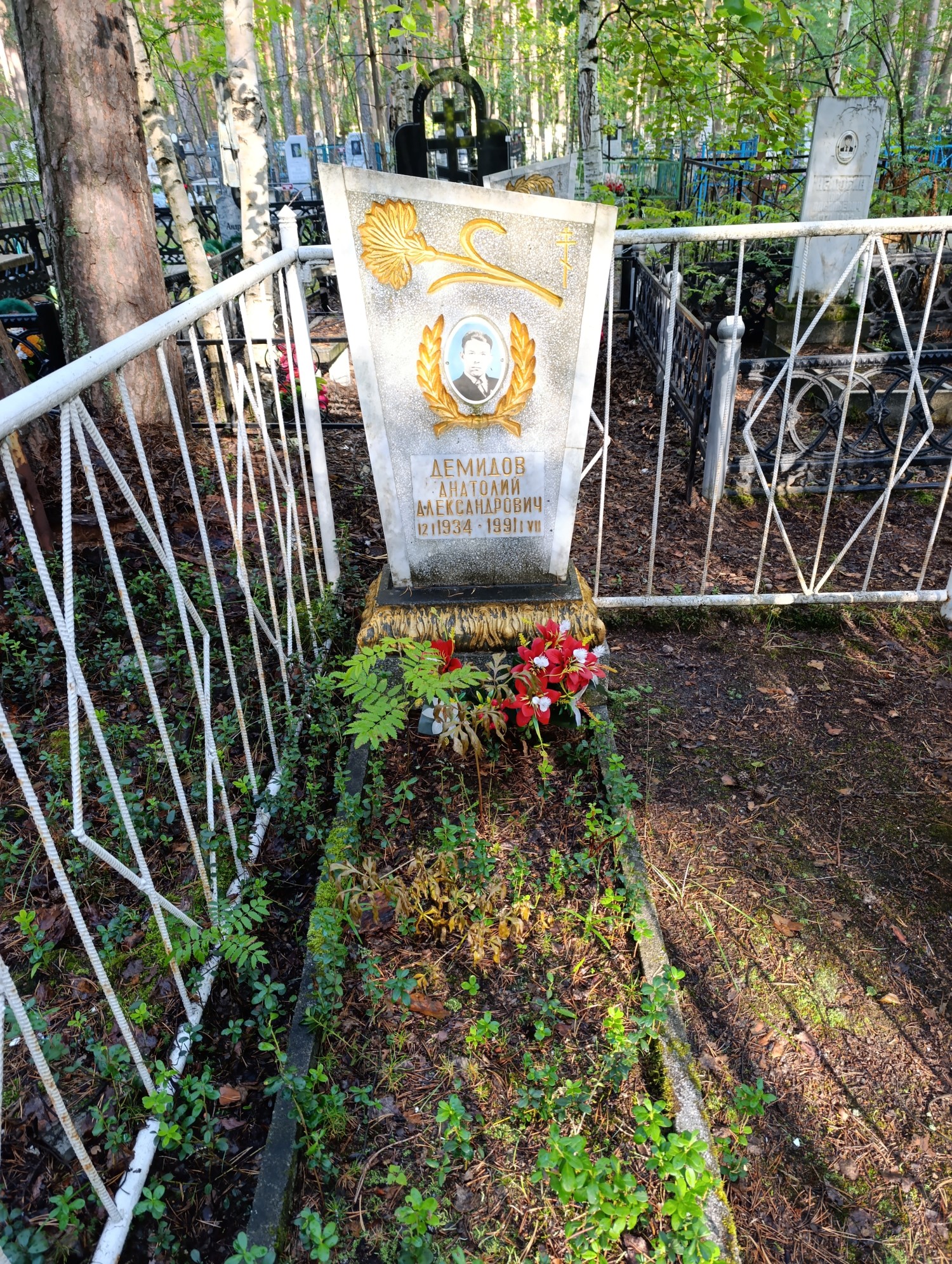 Демидов Анатолий Александрович