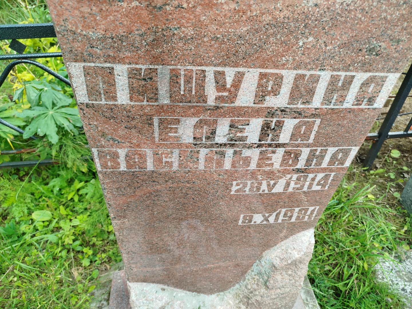 Пищурина