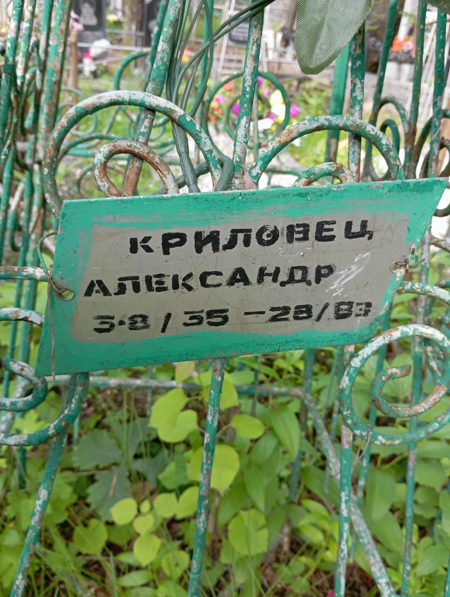 Криловец Александр