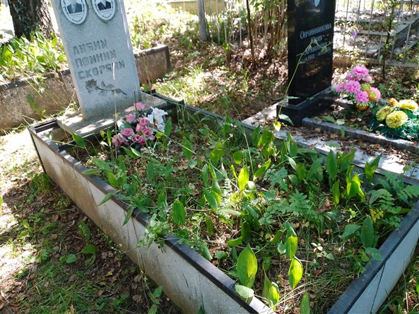 Овчинников Дмитрий Павлович