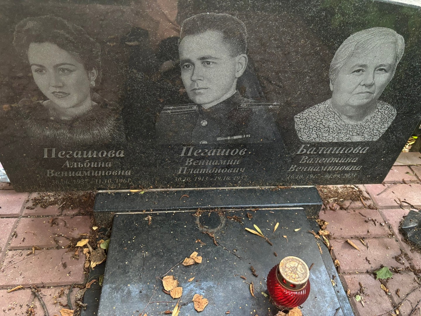 Альбина Пегашова Вениаминовна