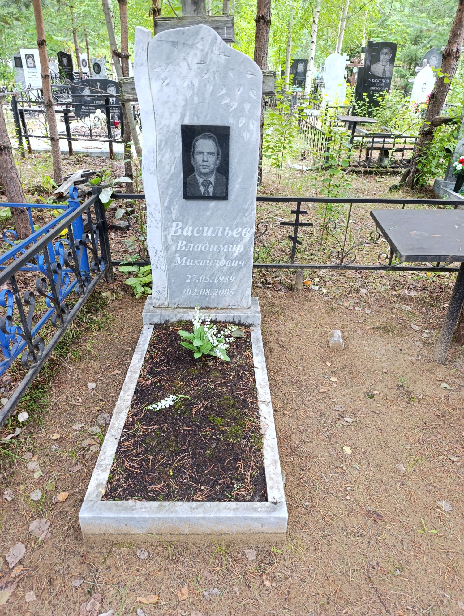 Васильев Владимир Михайлович