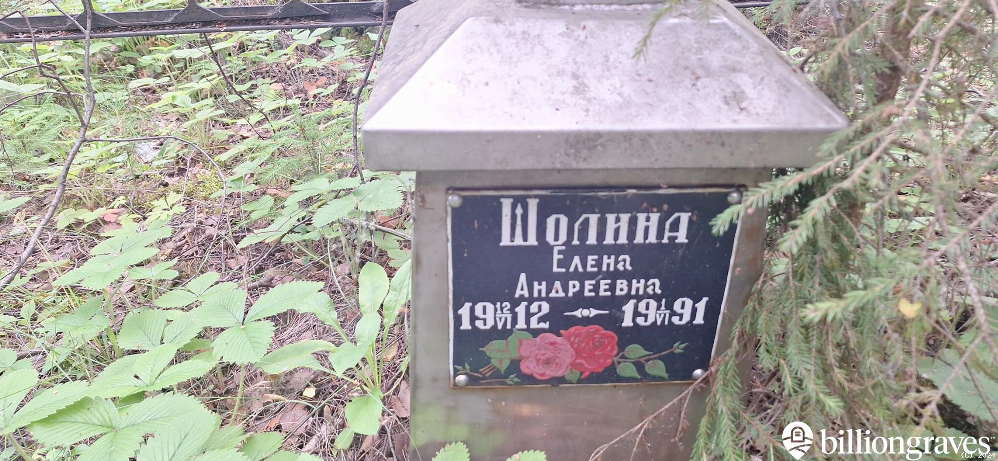 Шолина Елена Андреевна