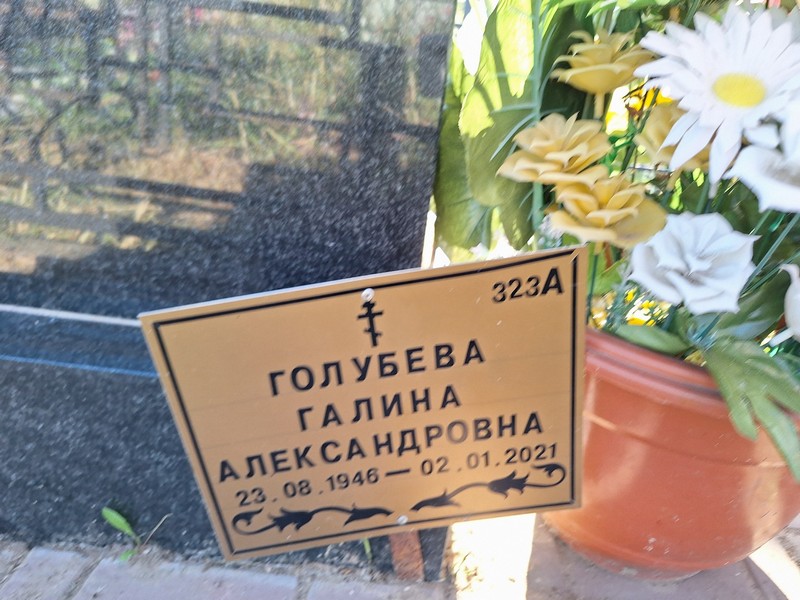 Голубева