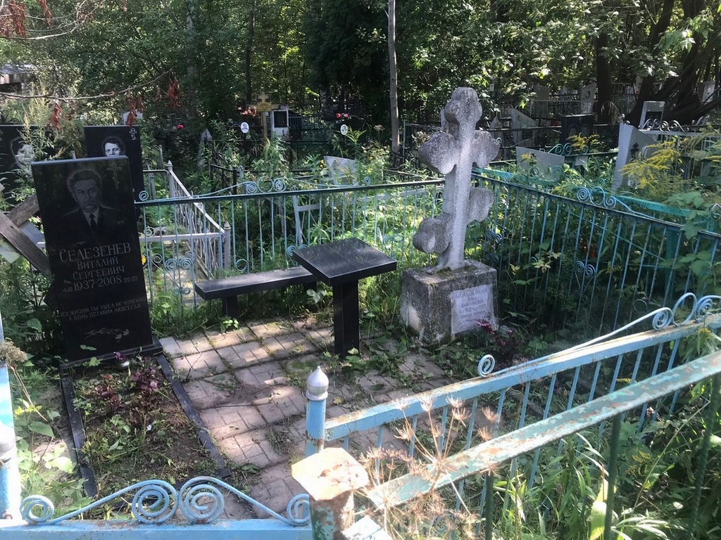 Селезенева Анна Дмитриевна