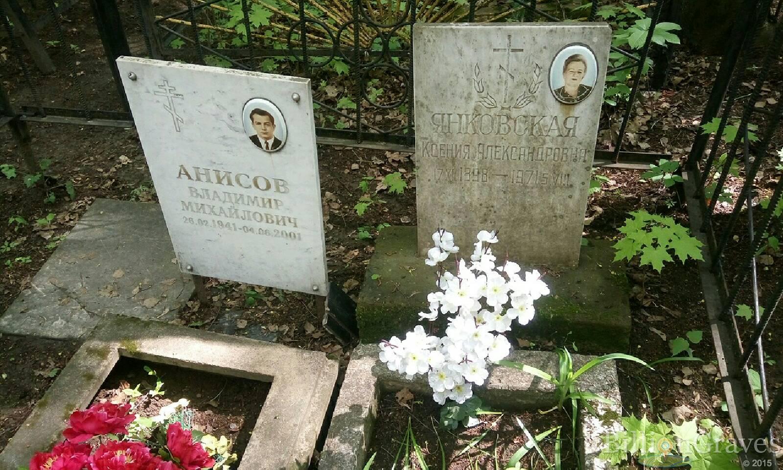 анисов владимир михайлович