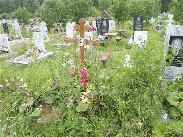Медовщикова Надежда Александровна