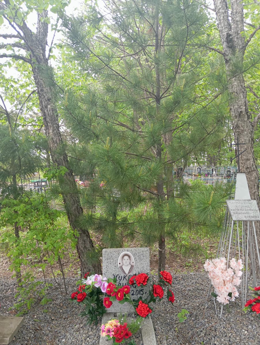 Жукова Анна В