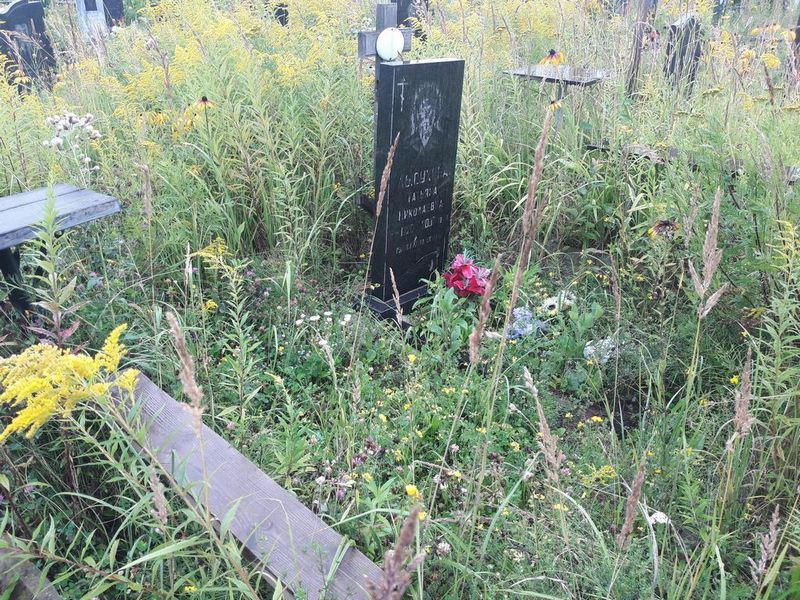 Лысухина Татьяна Николаевна