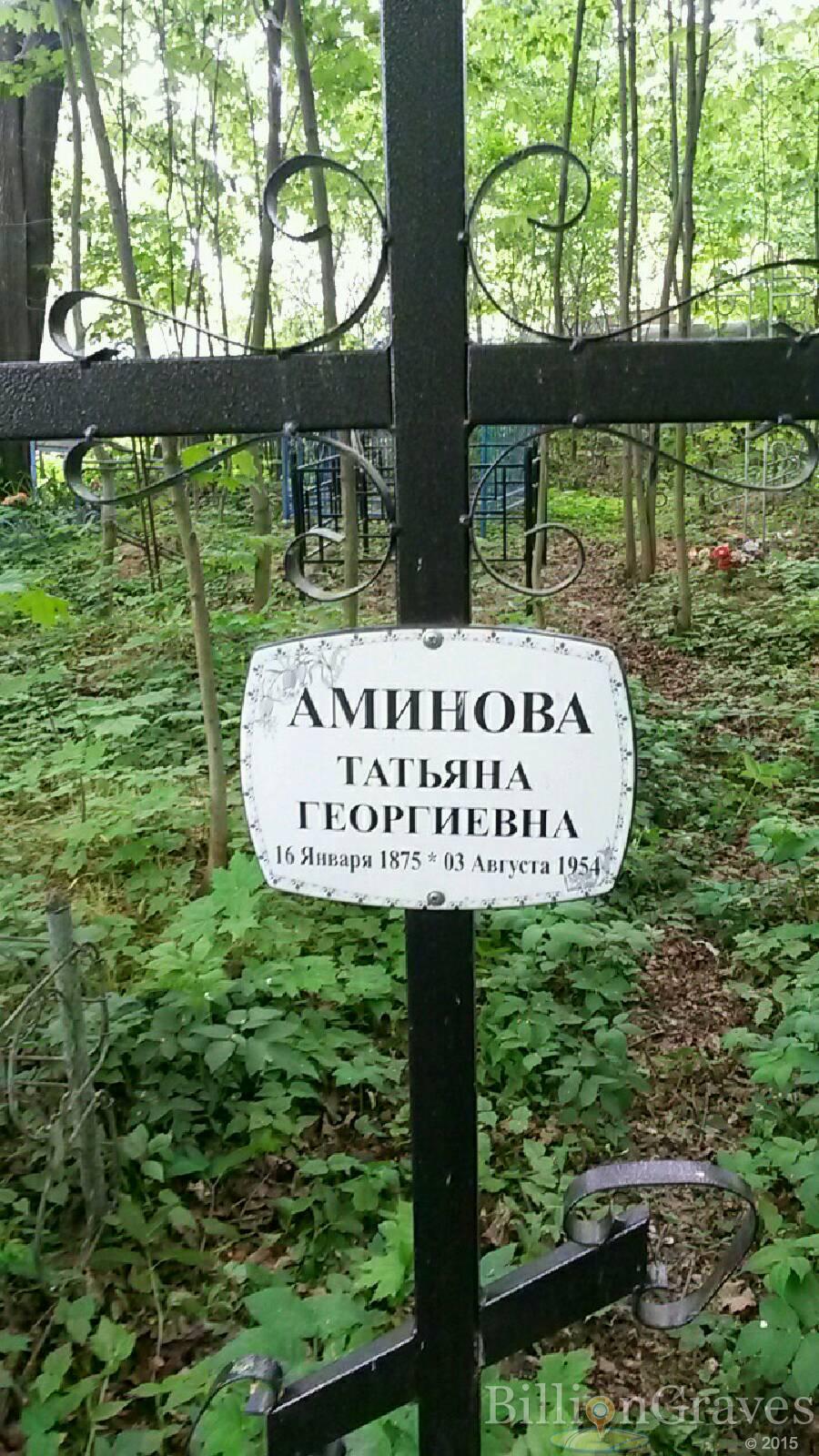 Аминова Татьяна Георгиевна