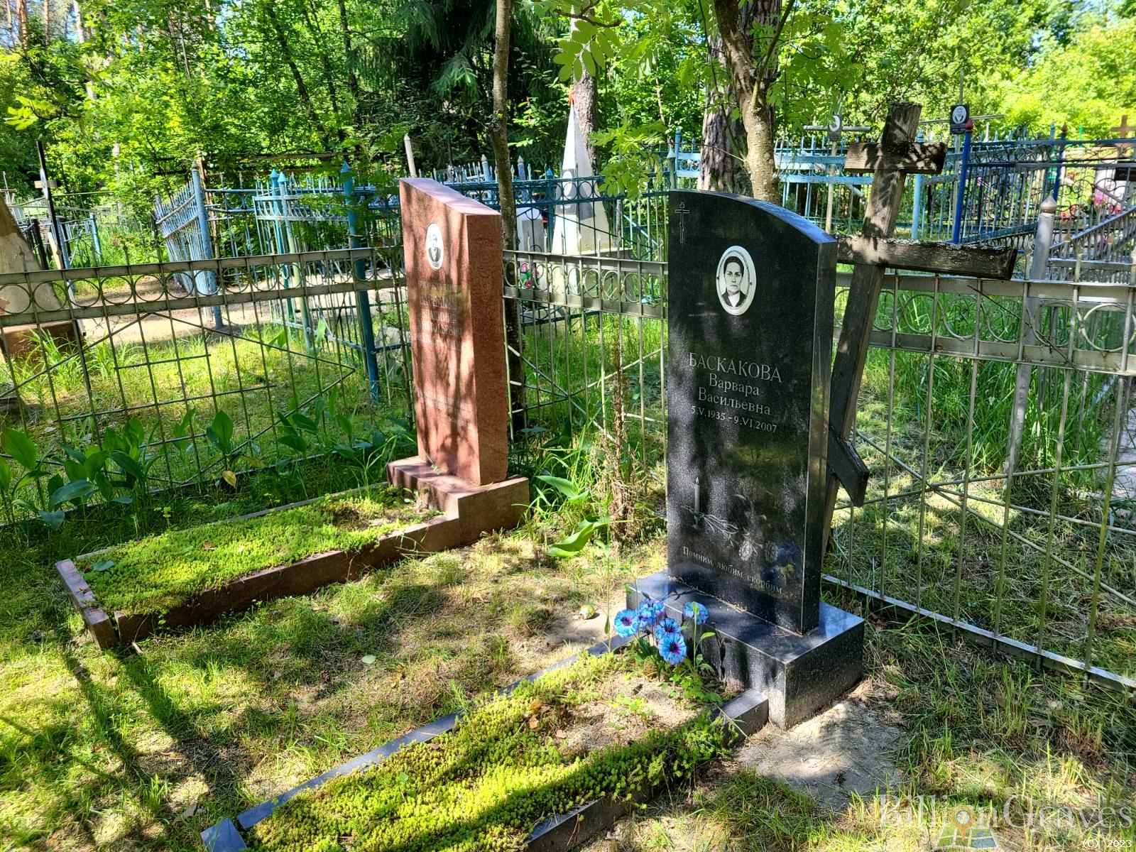 Баскаков Владимир Анатольевич