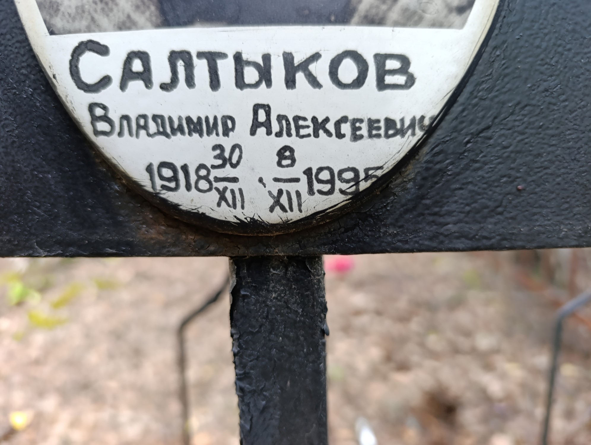Салтыков Владимир Алексеевич