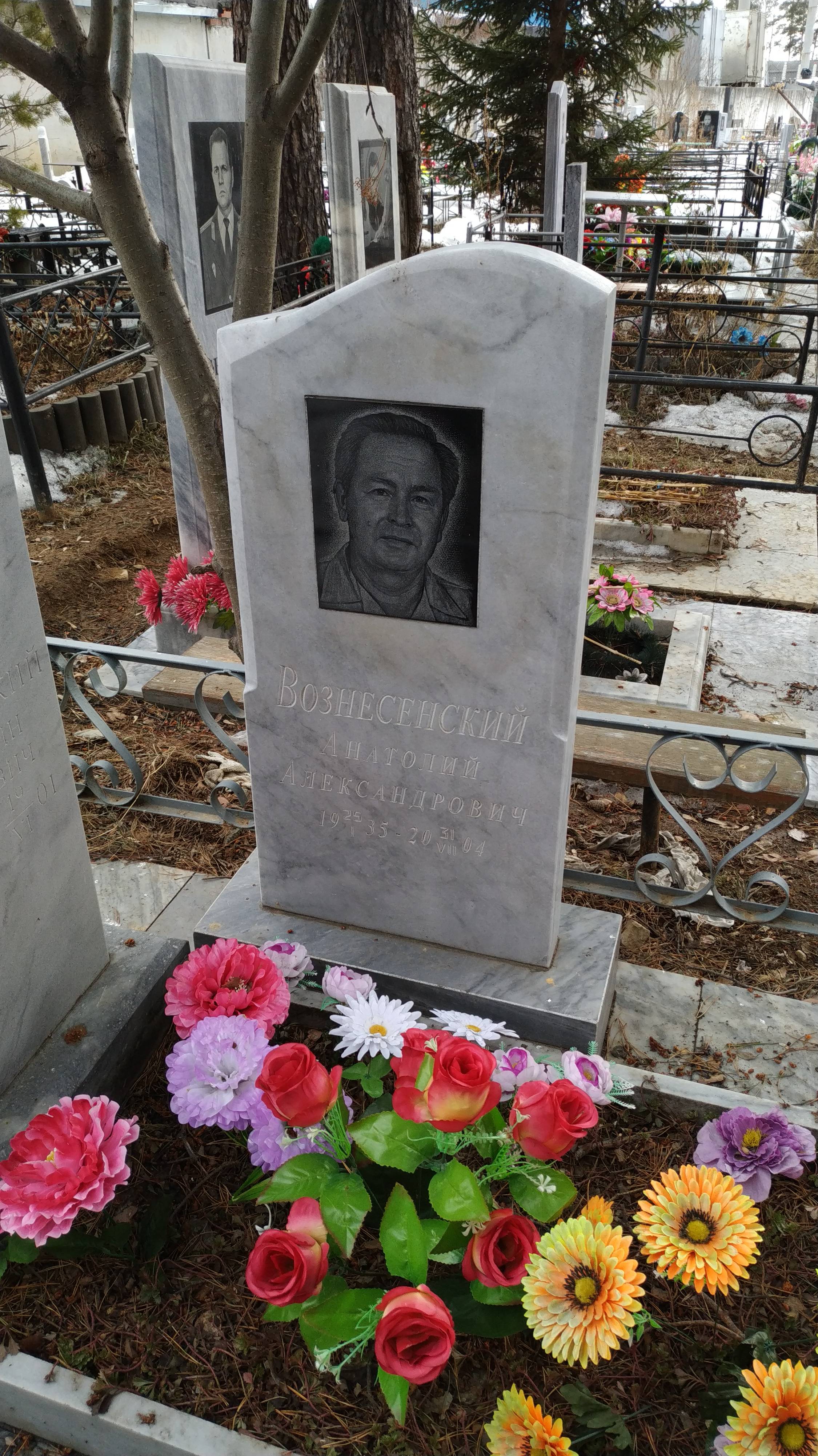 Вознесенский Анатолий Александрович