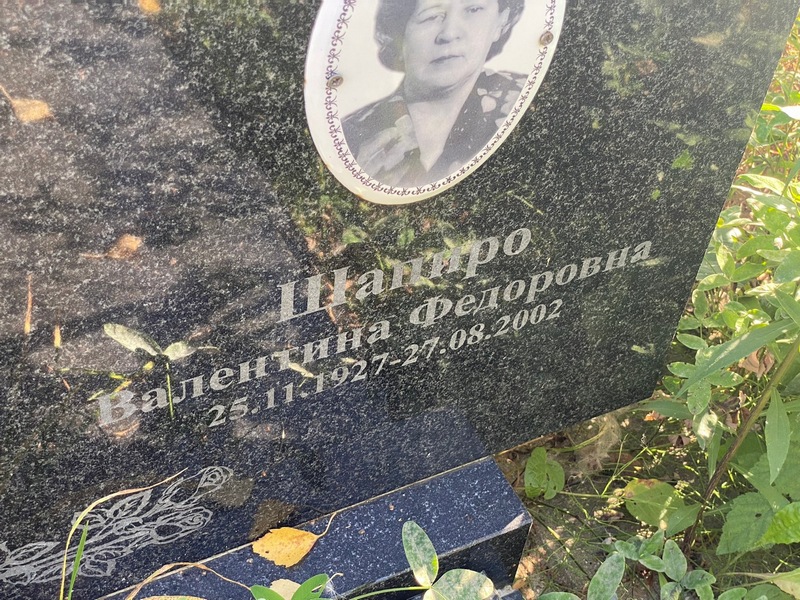 Шапиро
