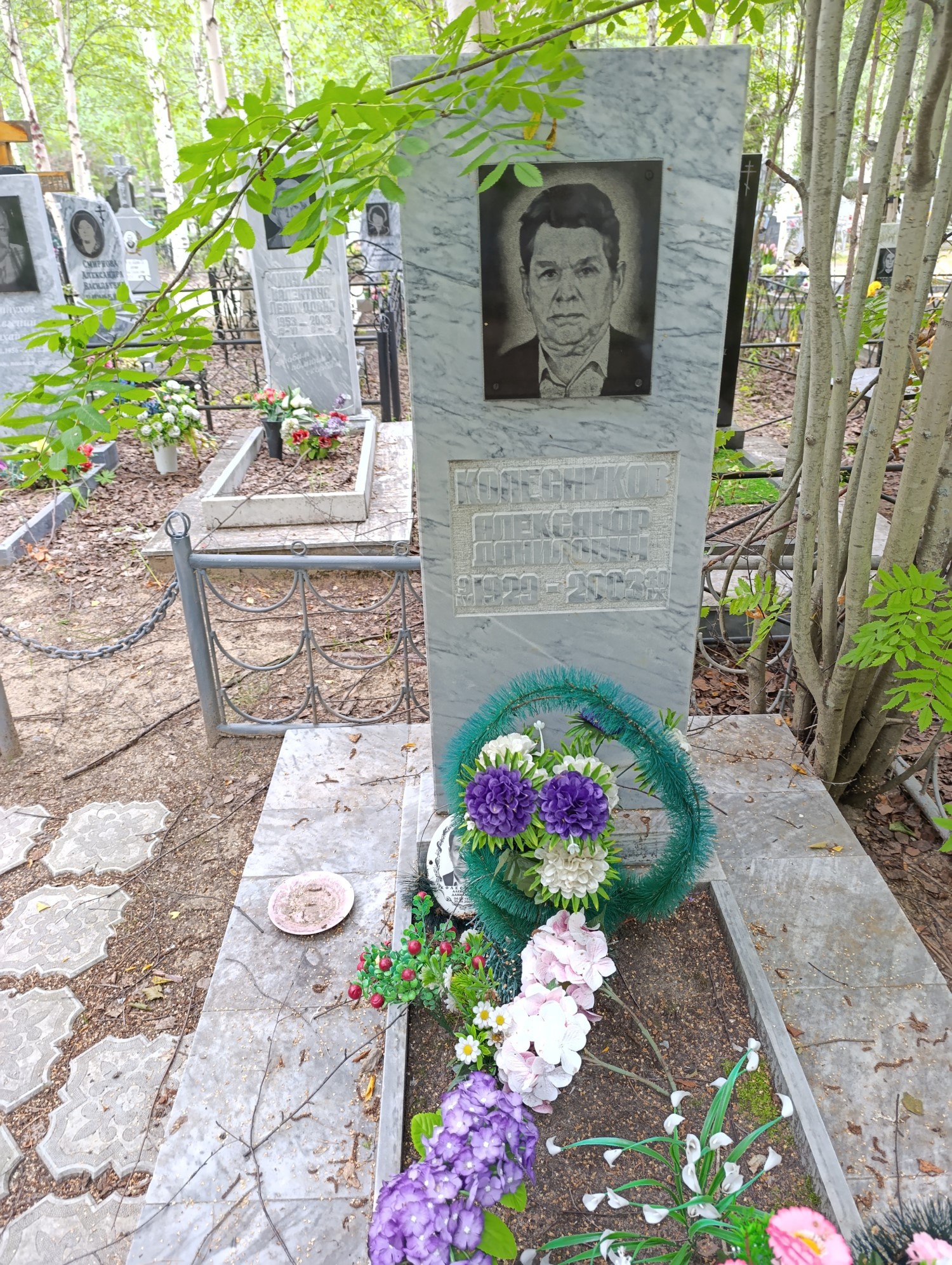 Колесников Александр Данилович