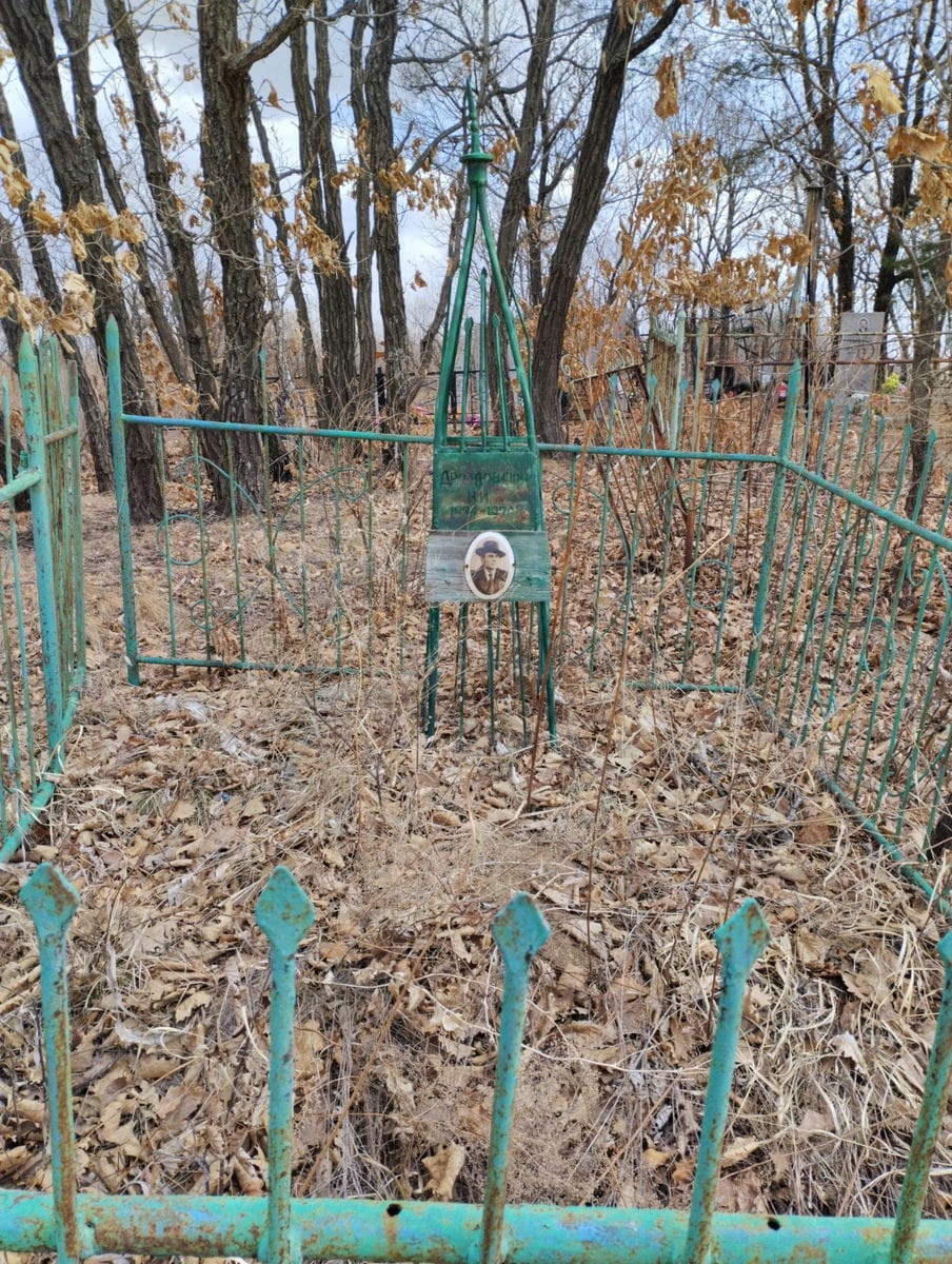 Дроздовский Н И