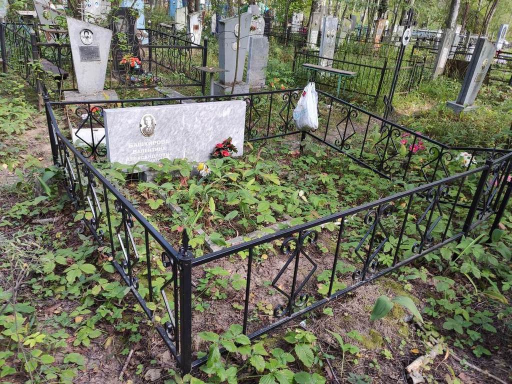 Башкирова Валентина Александровна