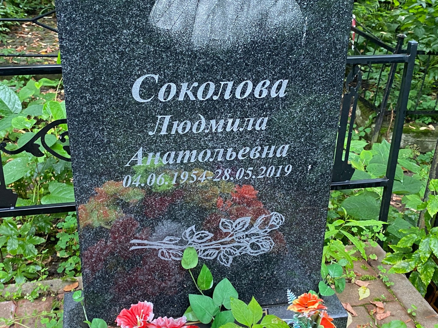 Соколова
