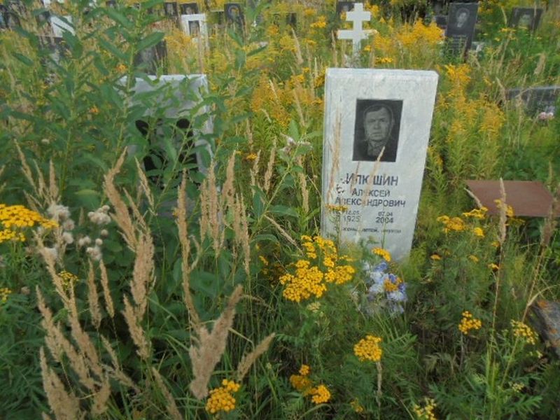 Илюшин Алексей Александрович