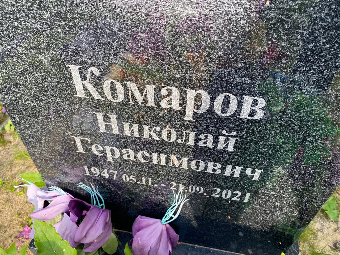 Комаров
