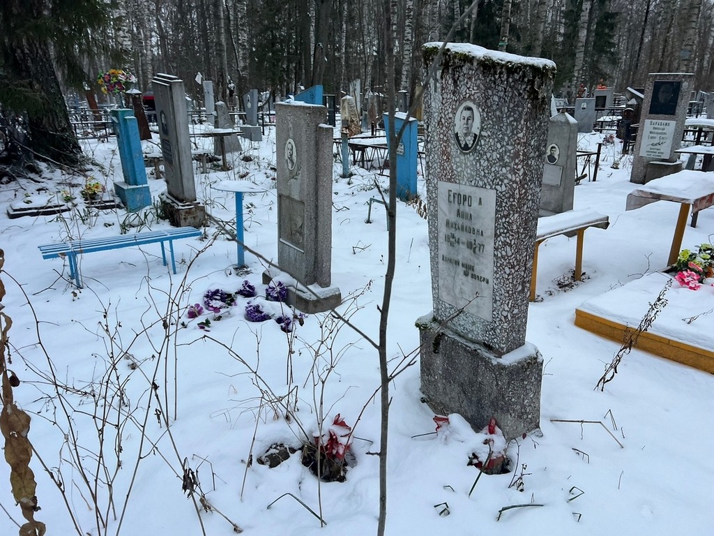 Егорова Анна Михайловна