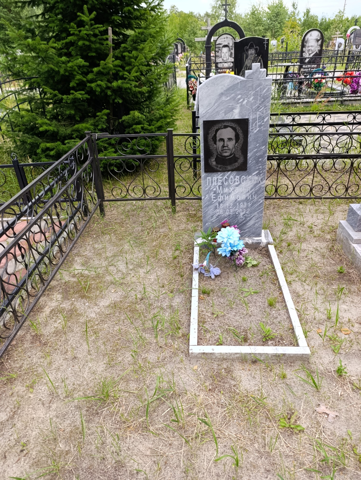 Плесовских Михаил Ефимович