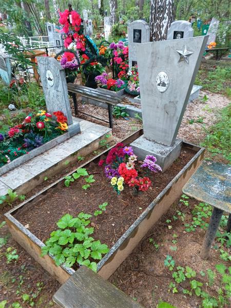 Шапошников Александр Константинович