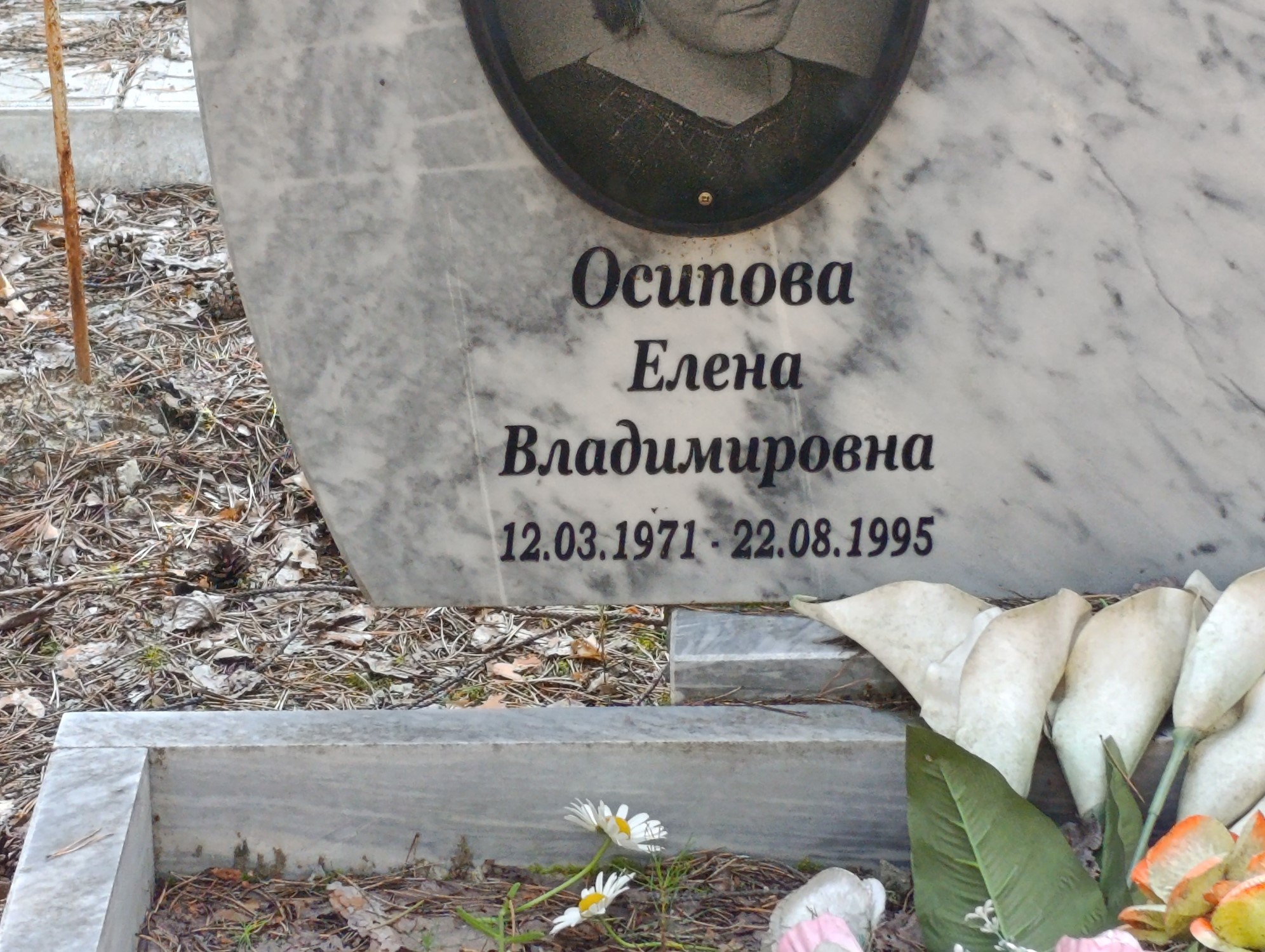 Осипова Елена Владимировна