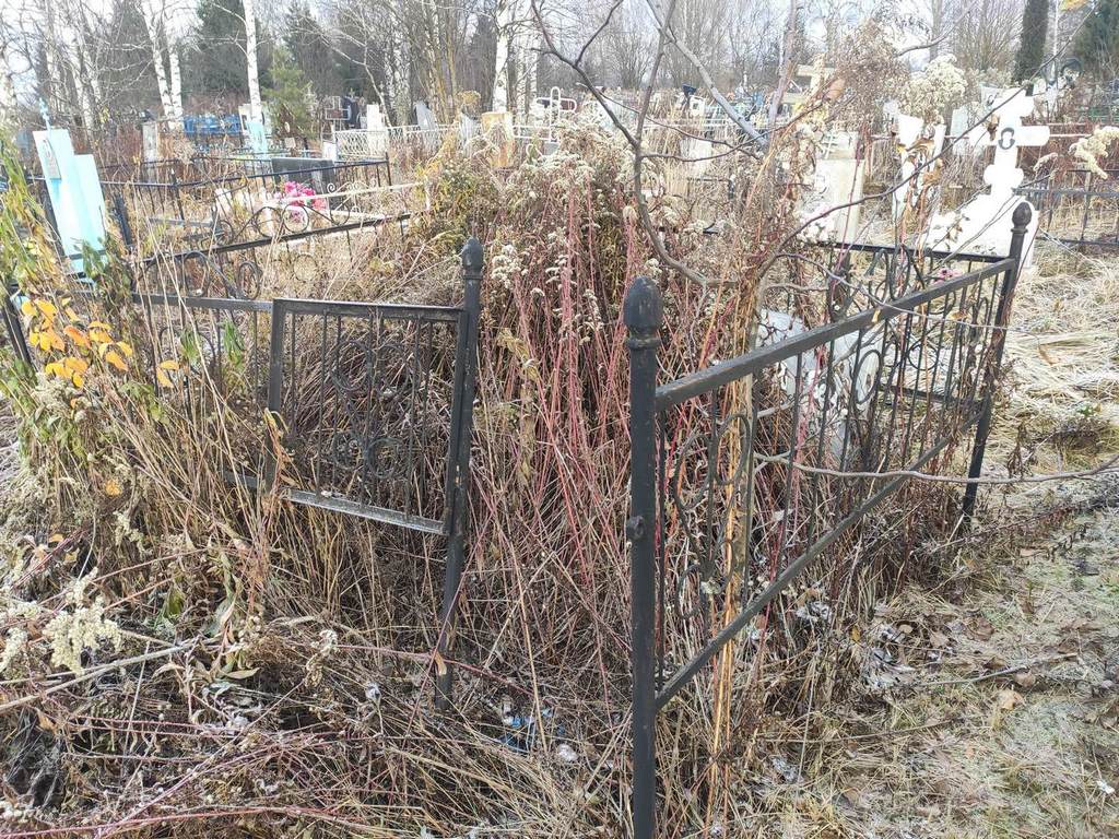 Денисов Василий Николаевич