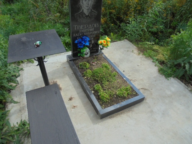 Твердов Дмитрий Александрович