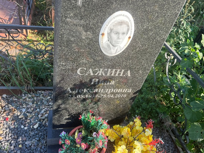 Сажина