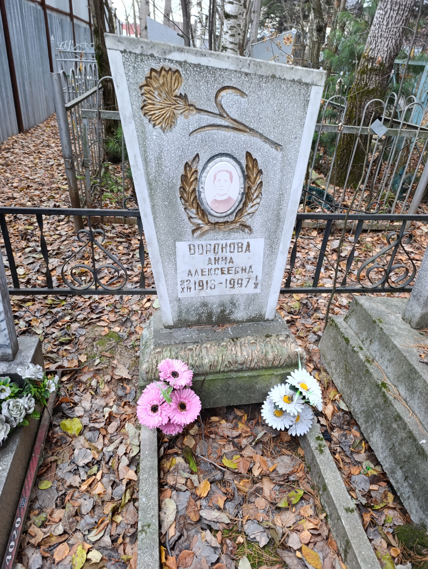 Воронова Анна Алексеевна