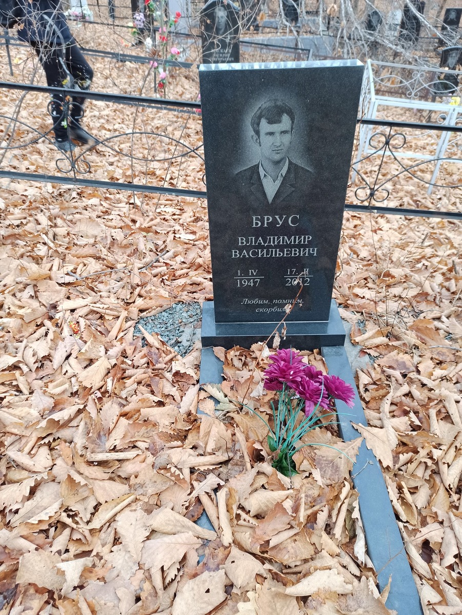 Брус Владимир Васильевич