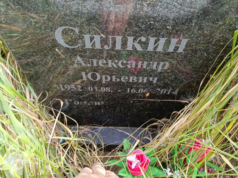 Силкин