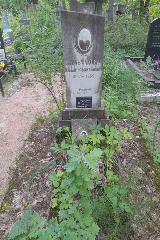 Стальмахович Надежда Сергеевна