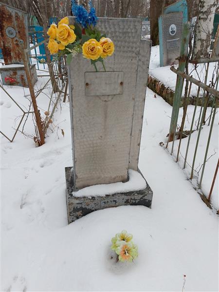 Войлочникова Надежда Дмитриевна