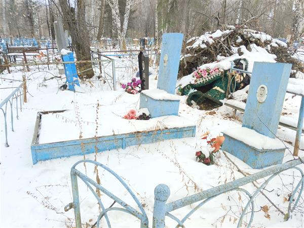 Некрасов Николай Петрович