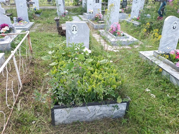 Мухильнина Антонина Сергеевна