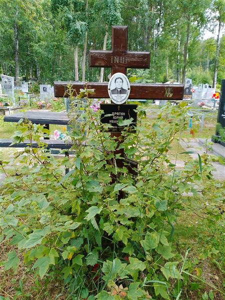 Дрягин Юрий Иванович