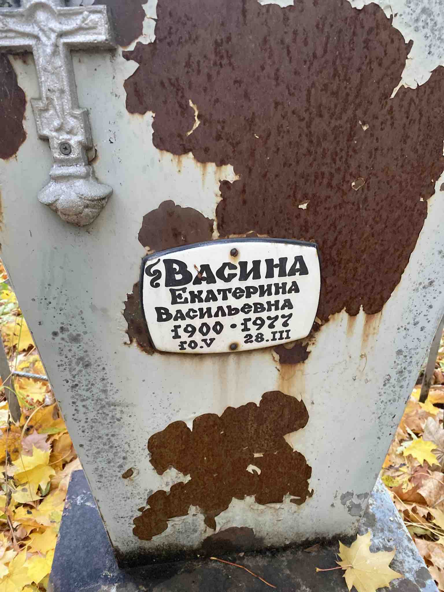 Васина Екатерина Васильевна