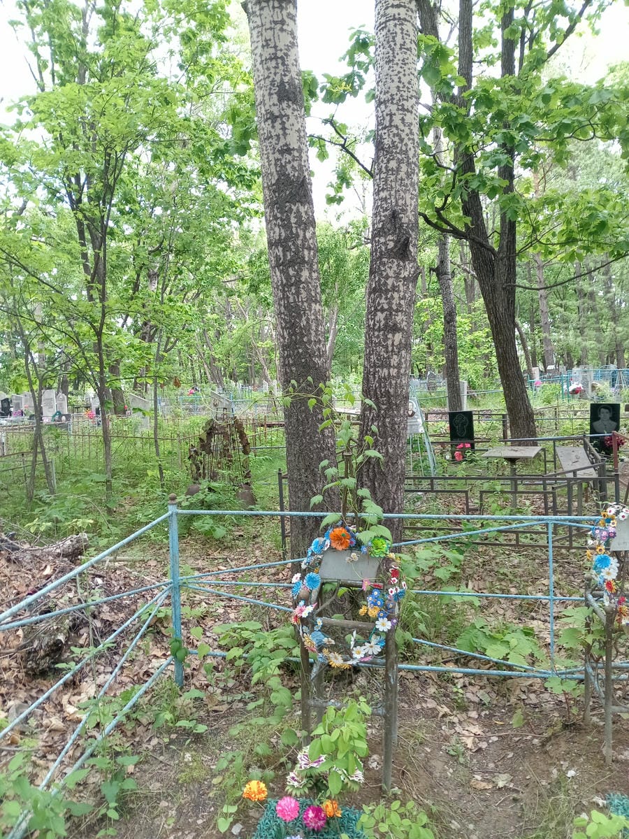 Вылев Милентий Епифанович