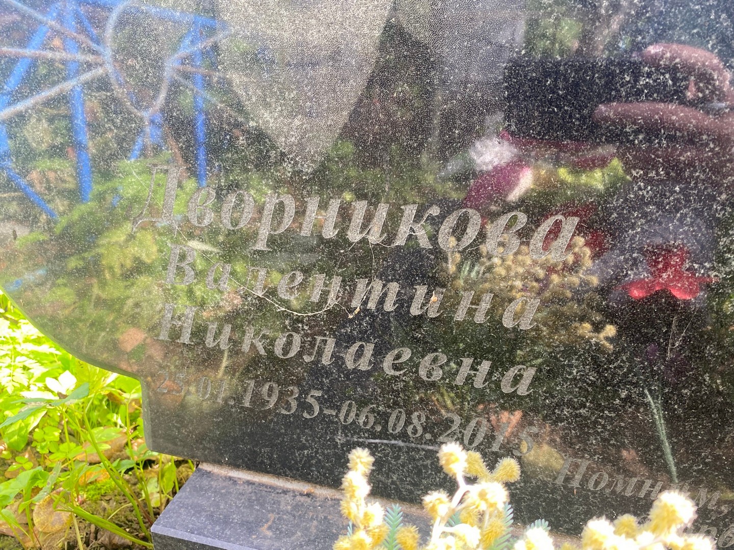 Дворникова