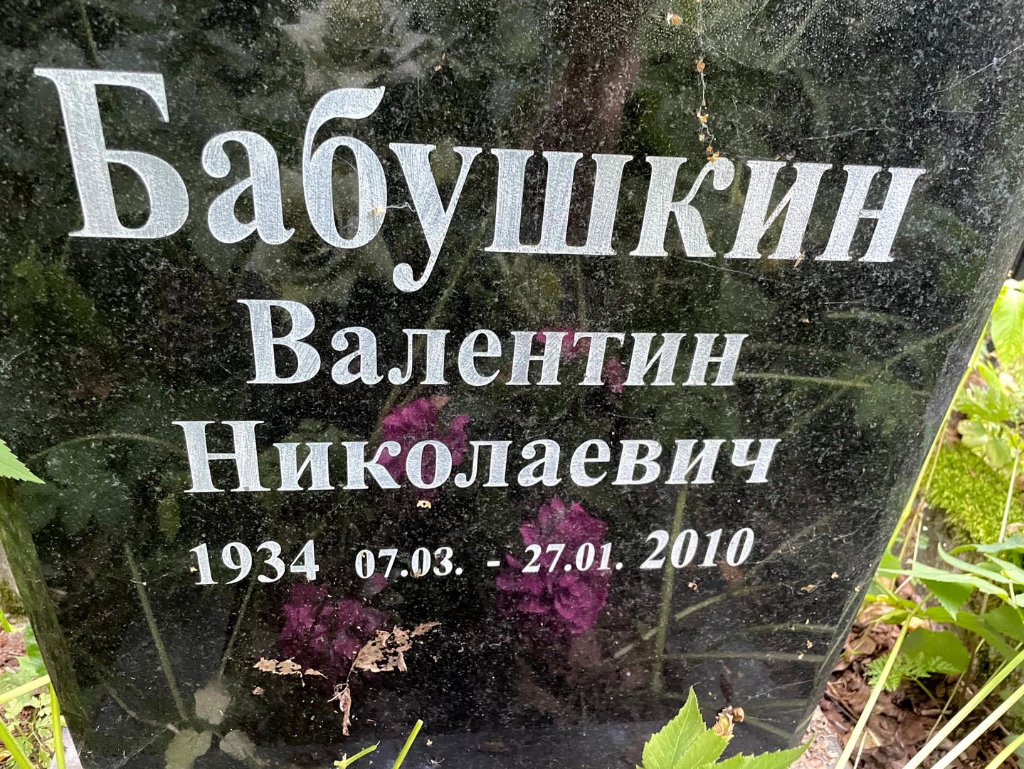 Бабушкин