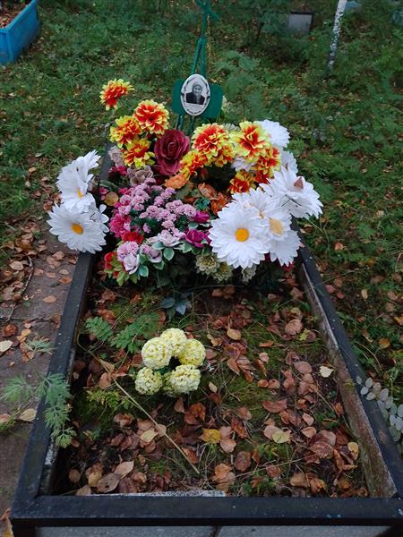Сеногноева Васселиса Николаевна