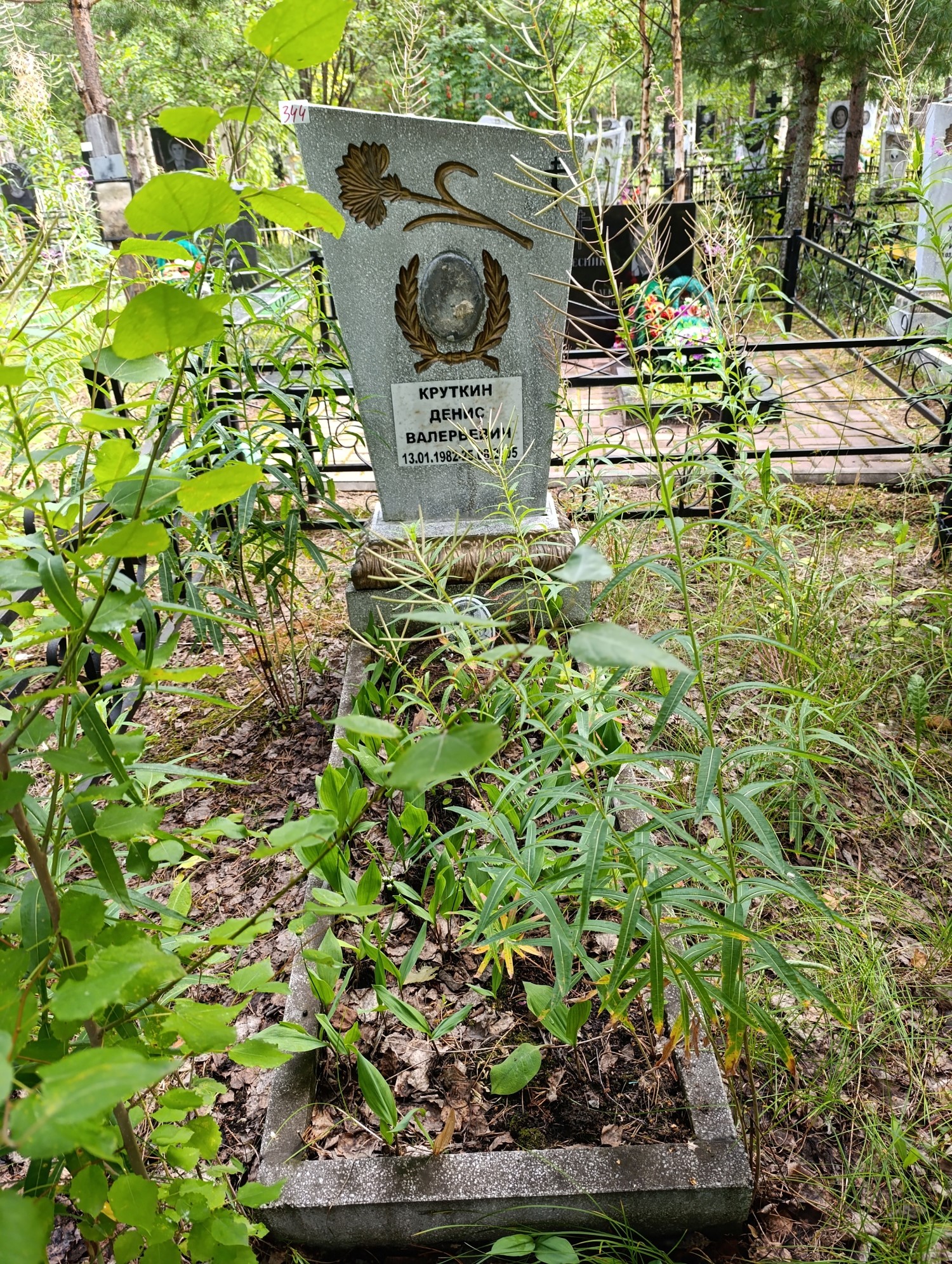 Круткин Денис Валерьевич