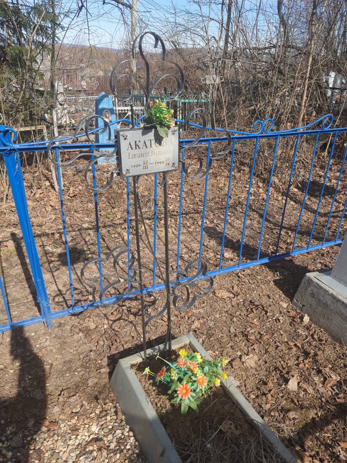 Акатова Елизавета Васильевна