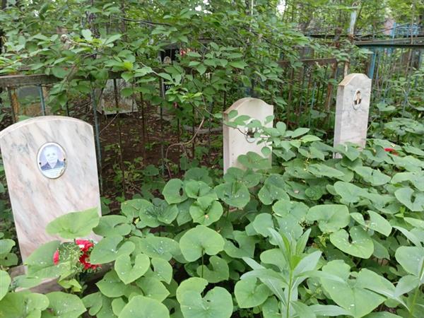 Тетерина Анастасия Самсоновна