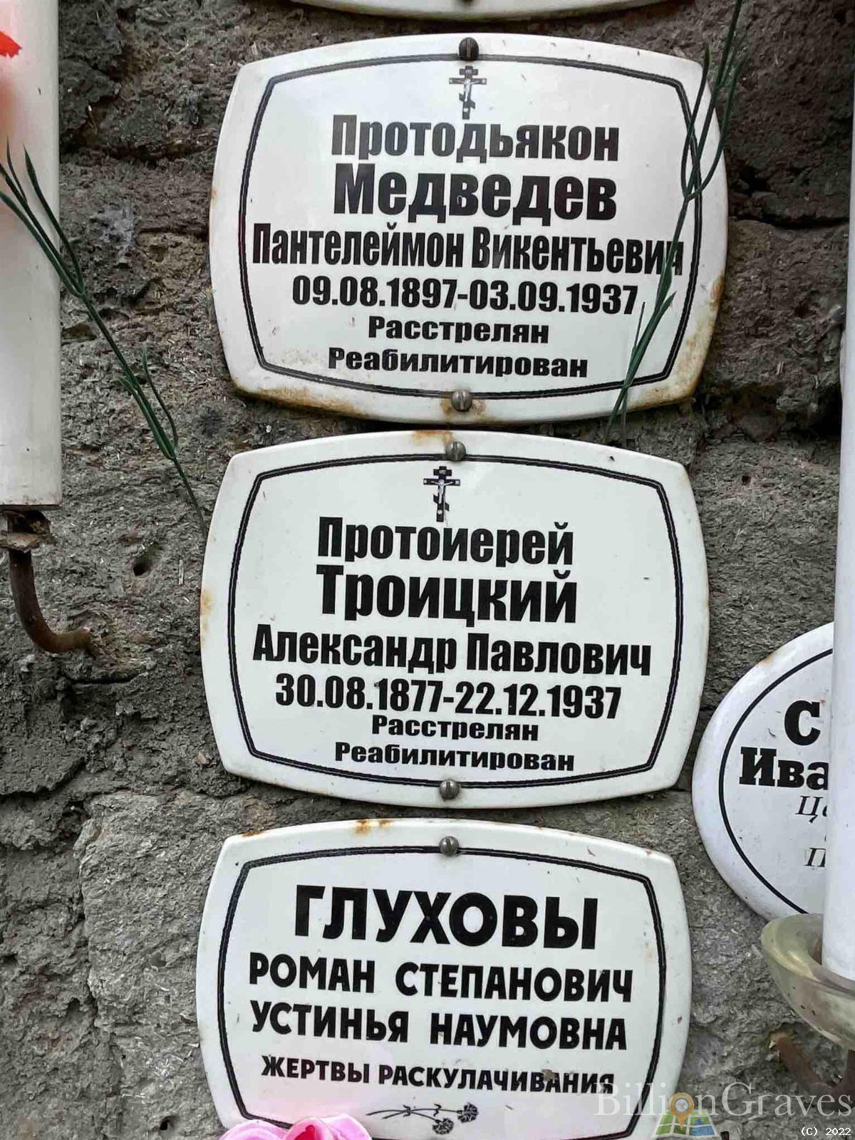 Медведев Пантелеймон Викентьевич