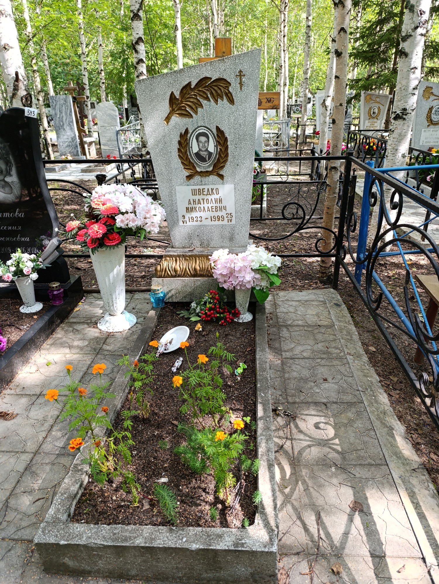 Шведко Анатолий Николаевич